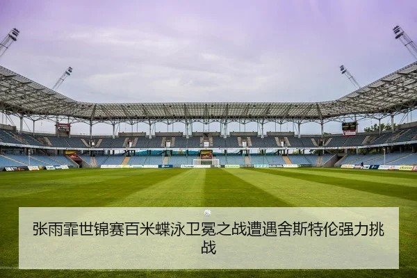 张雨霏世锦赛百米蝶泳卫冕之战遭遇舍斯特伦强力挑战 - yaxin